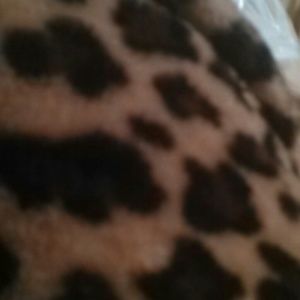 Meet your Posher, Alfredia