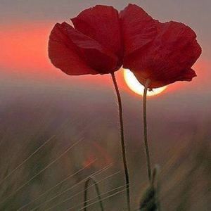 Meet your Posher, Mayra