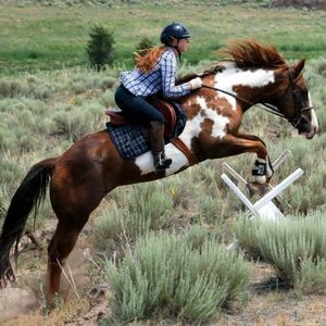 Meet your Posher, Eileen