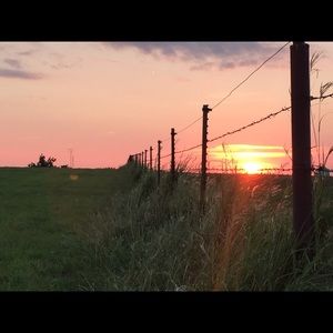 Meet your Posher, Autumn