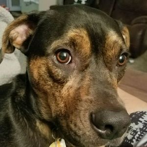 Meet your Posher, Kimi