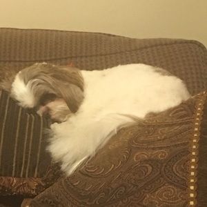 Meet your Posher, Jacki