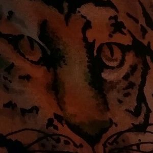 Meet your Posher, Sadie