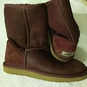 olive green classic uggs olive green classic uggs