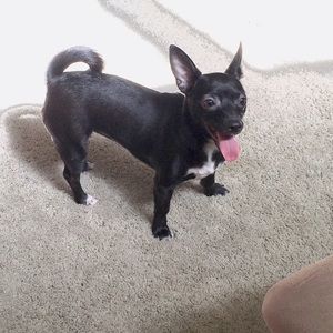 Meet your Posher, Heather