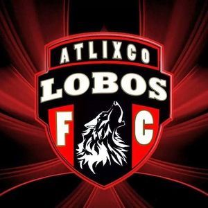 Meet your Posher, Rene