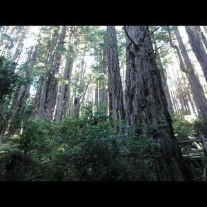 Meet your Posher, Lela