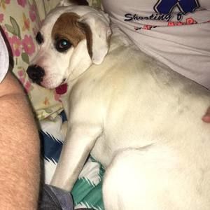 Meet your Posher, Patrick