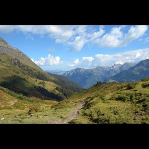 Meet your Posher, Lexie