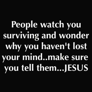 Meet your Posher, Curtis