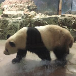 Meet your Posher, Li ly