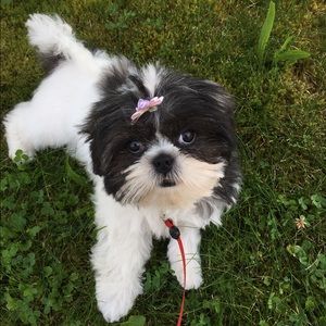 Meet your Posher, Mary