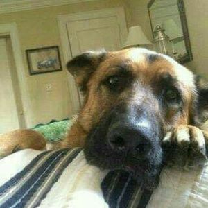 Meet your Posher, Angie