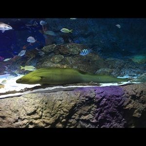 Meet your Posher, Keith