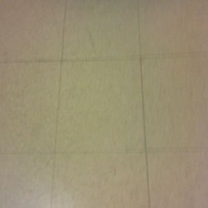 Meet your Posher, Tiarra