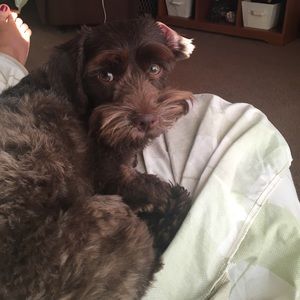 Meet your Posher, Lori