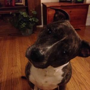 Meet your Posher, Tammy