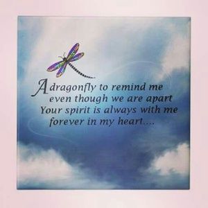 Meet your Posher, Misty