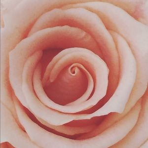 Meet your Posher, Beverly