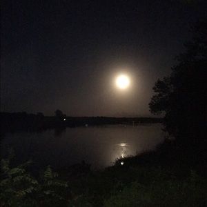 Meet your Posher, Patricia