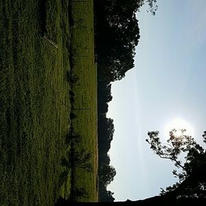 Meet your Posher, Mandy