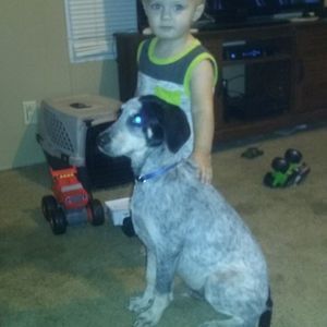 Meet your Posher, Summer