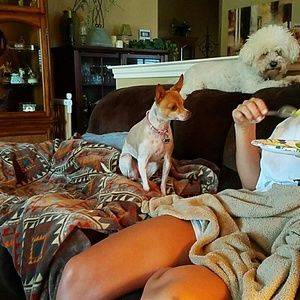 Meet your Posher, Robbie