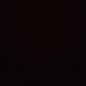 Meet your Posher, Kamryn