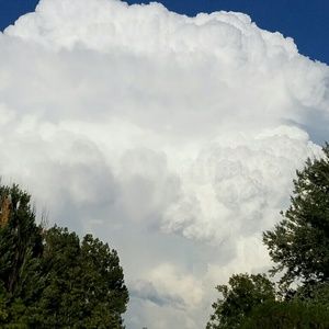 Meet your Posher, Diana