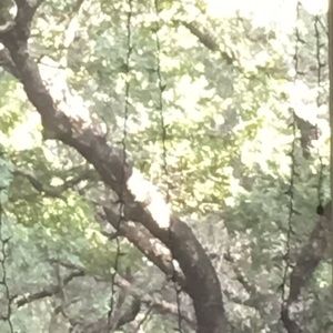 Meet your Posher, Anannya