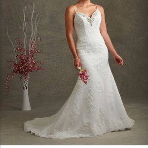 Bridal Gown (Never worn)