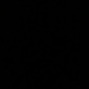 Meet your Posher, Dani