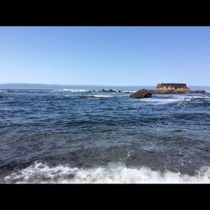 Meet your Posher, Saheli