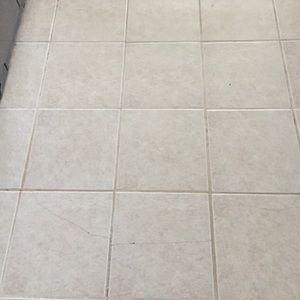 Meet your Posher, Rose