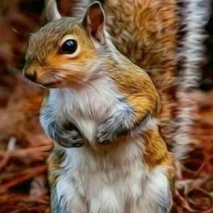 Meet your Posher, Andrea