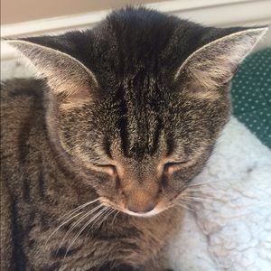 Meet your Posher, Meghan