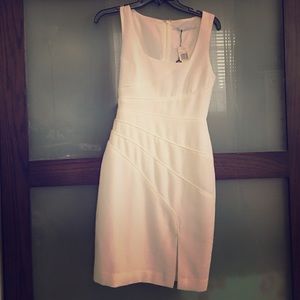 New Black halo little white dress