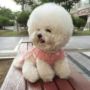 Meet your Posher, Suzanne