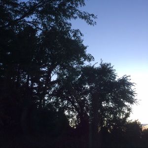 Meet your Posher, Montgomery