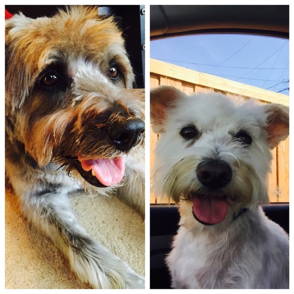 Meet your Posher, Stephanie - Picture 2 of 2