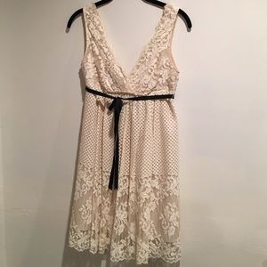 BCBG Lace Dress