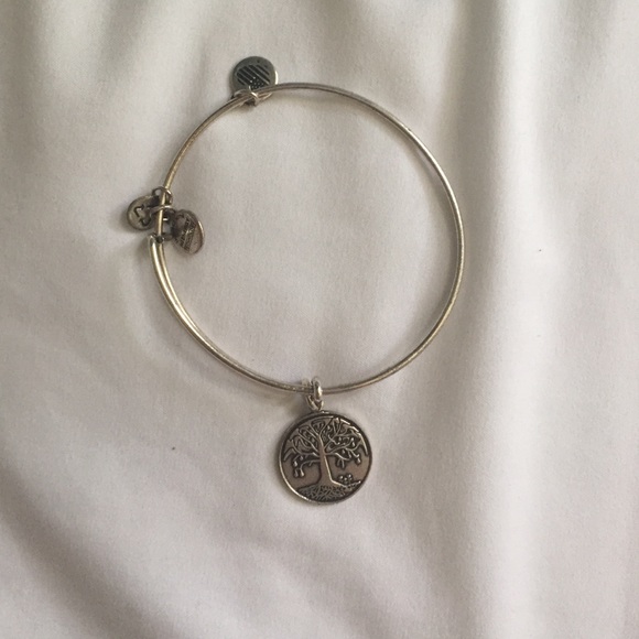 Alex and Ani Bangle