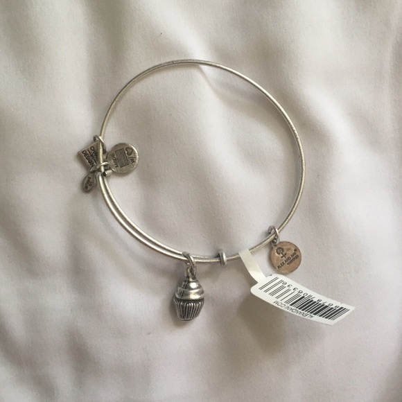Alex and Ani Bangle