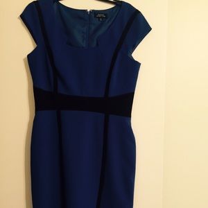 Tahari Royal Blue/Black dress. Size 8