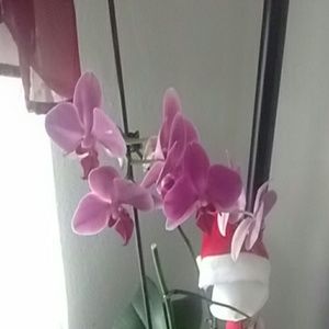 Meet your Posher, Zeljka