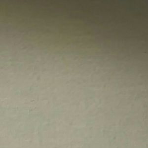 Meet your Posher, Sharnekia