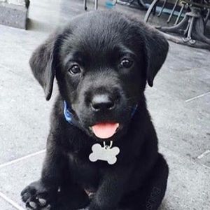 Meet your Posher, Sherry