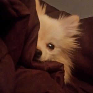 Meet your Posher, Jill