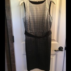 Ann Taylor Polka Dot Dress