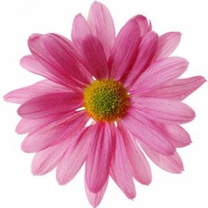 Meet your Posher, Jacklyn